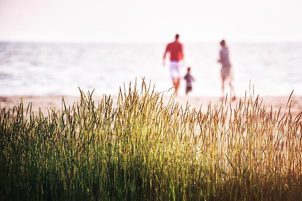 family-sea-grass