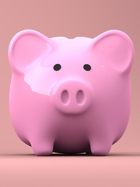 Piggybank Savings For Investment