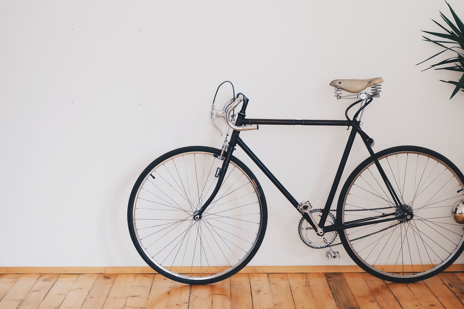 Bicycle Wall