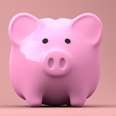 Piggybank Savings and Investment