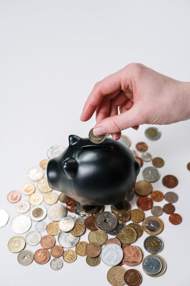 Savings-piggy-bank