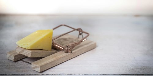 cheese-mouse-trap